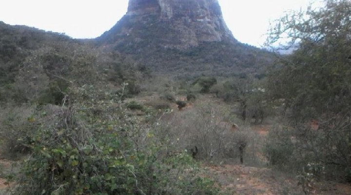 Kasigau Conservation Trust