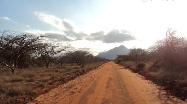 Kasigau Conservation Trust