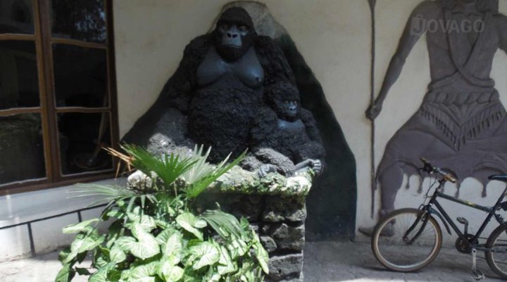 Dian Fossey