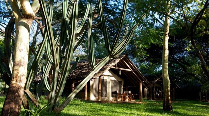 Voyager Ziwani Camp