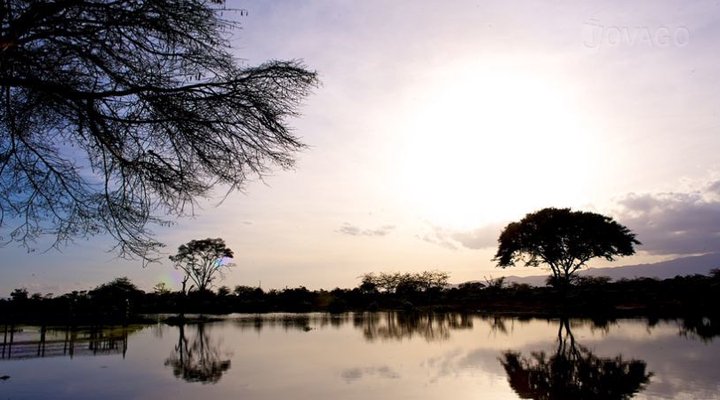 Voyager Ziwani Camp