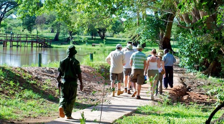Voyager Ziwani Camp