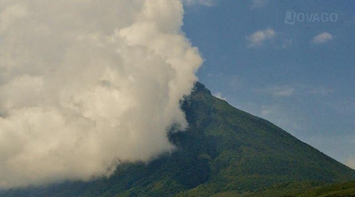 CTPH Gorilla Conservation Camp