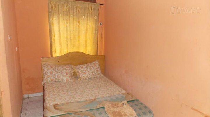 New Treasure Suite