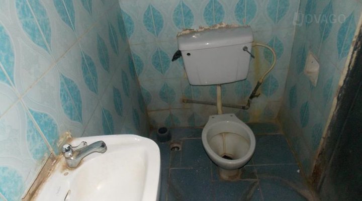 New Treasure Suite