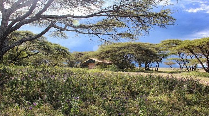 Serian's Serengeti South