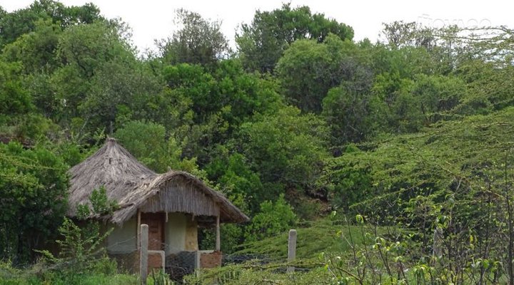 Storms Resort & Campsite