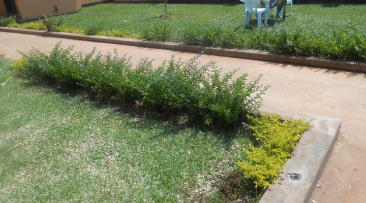 Hotel Nok Continental