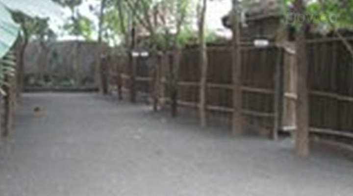 Songa Mbele Lodge Mayara Mirerani
