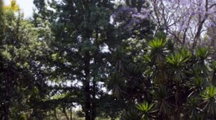 Ridgeway Guest House