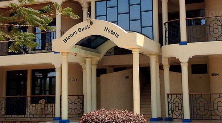 Bloom Back Hotels