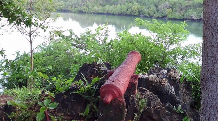 Takaungu Creek Cottages