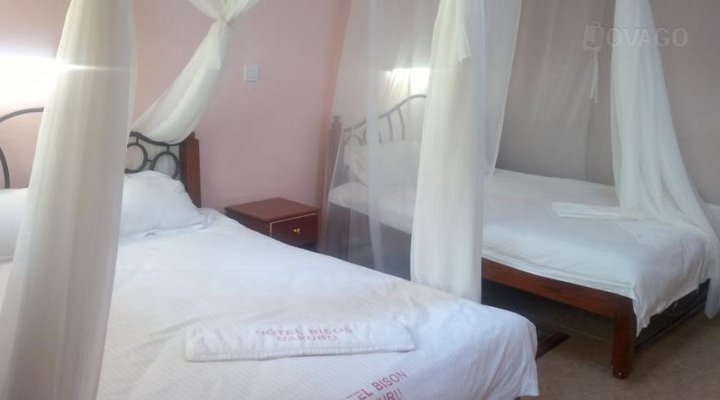 Hotel Bison