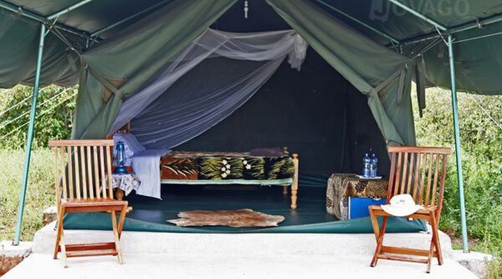 Fisi Camp