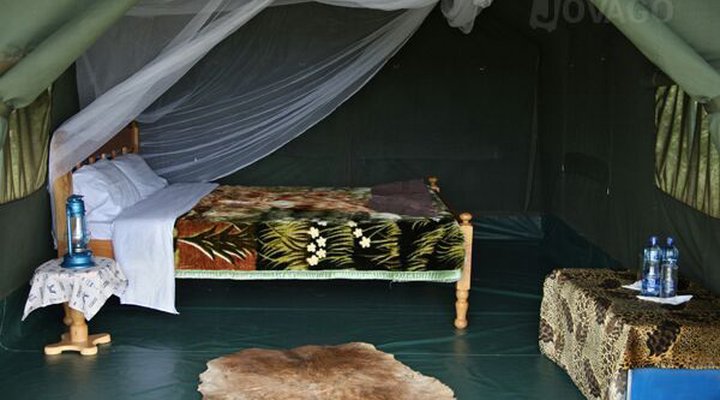 Fisi Camp