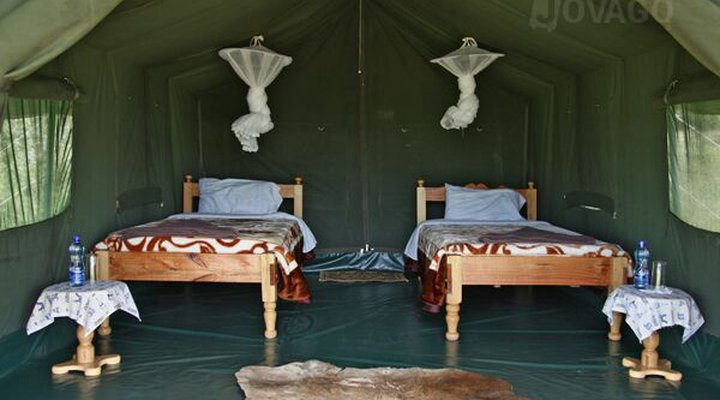 Fisi Camp
