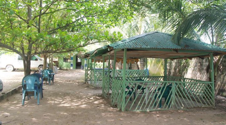 Forest Hotel