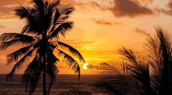 AfroChic Diani Beach