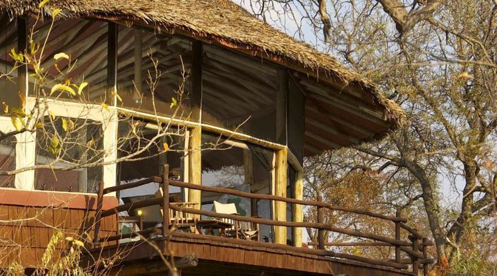 Tarangire Tree Tops