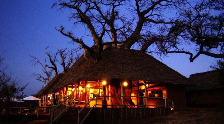 Tarangire Tree Tops