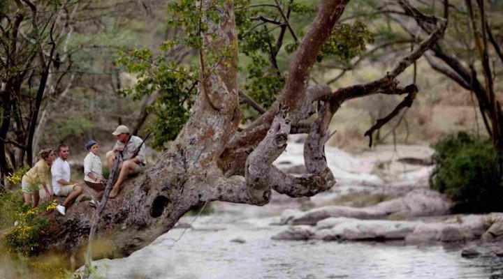 Serengeti Migration Camp