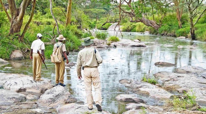 Serengeti Migration Camp