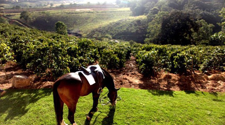 The Manor at Ngorongoro