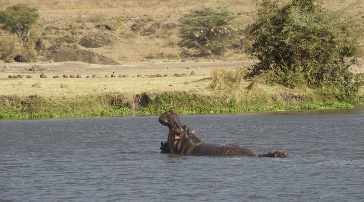 The Manor at Ngorongoro