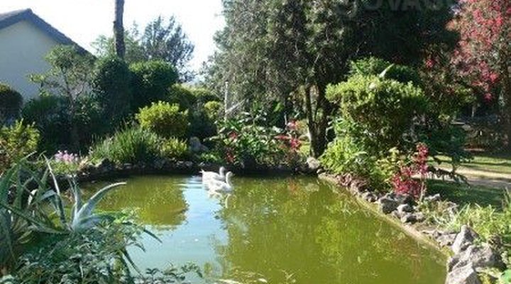 It's a Small World, Bvumba