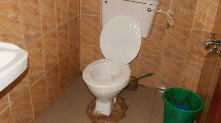 Lovely Guest House