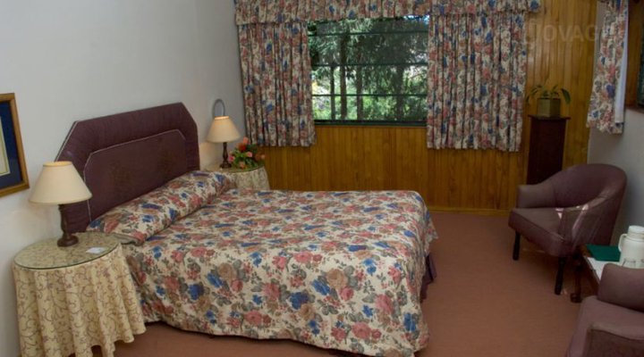 Pine Tree Inn