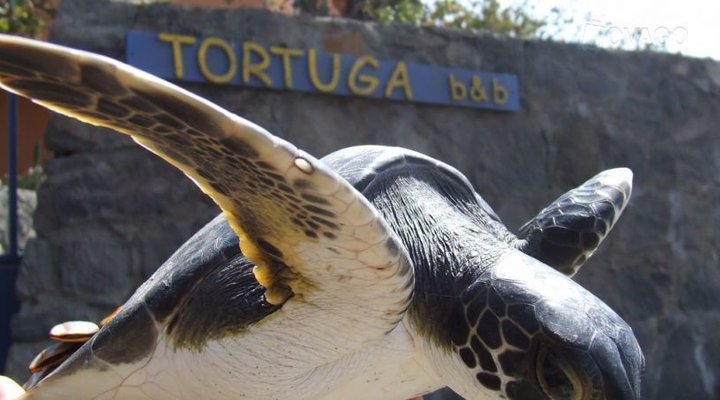 Tortuga B&B - Fogo