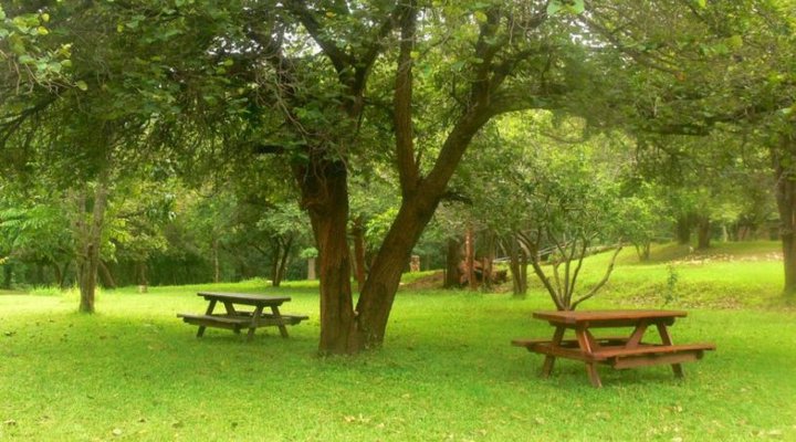 It's A Small World - Mavuradonha