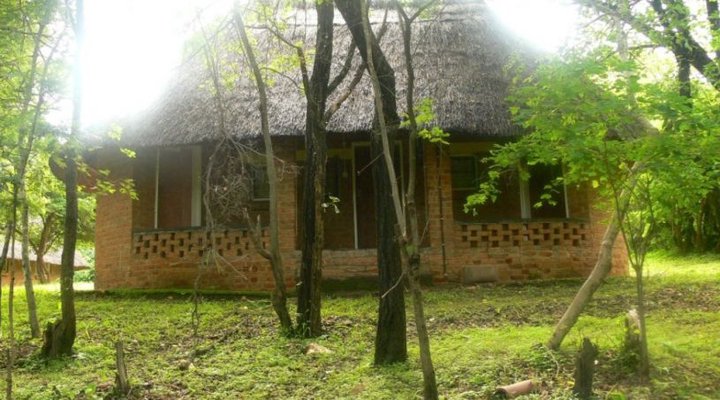 It's A Small World - Mavuradonha