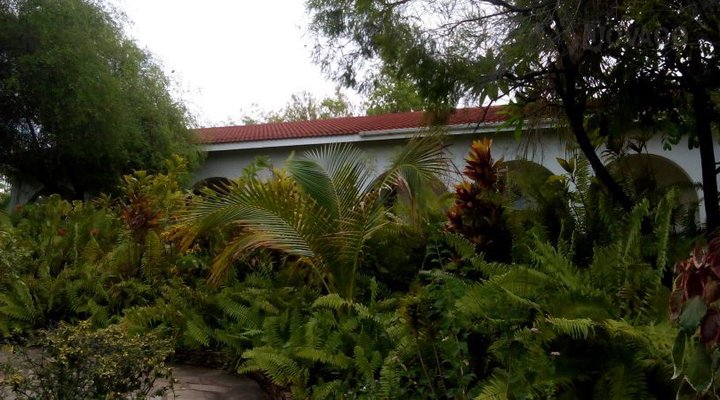 Tino's Guest House