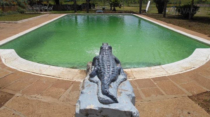 Crocodile Hospitality