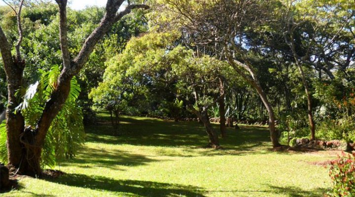 Mfuti Bed And Breakfast