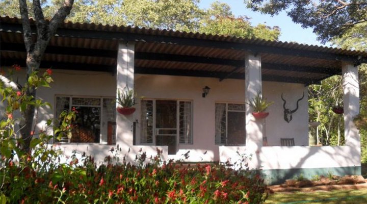 Mfuti Bed And Breakfast