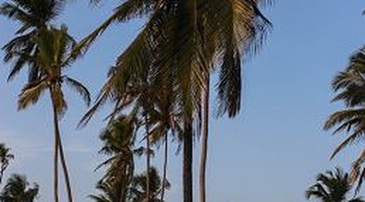 Zanzibar Bahari Villas