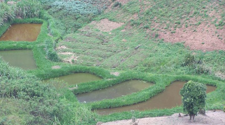 Gift Of Nature Lodge