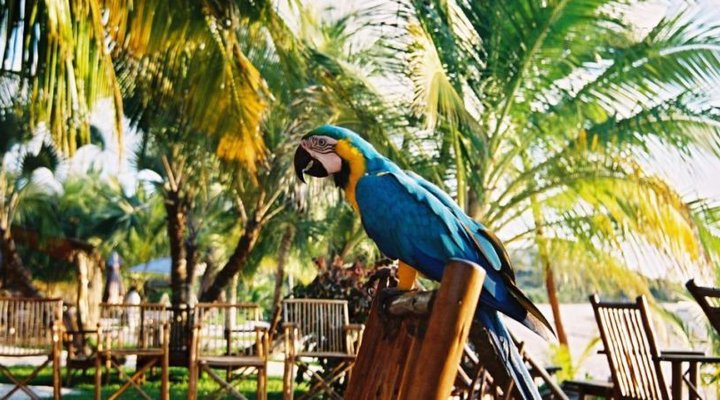 Pestana Bazaruto Lodge