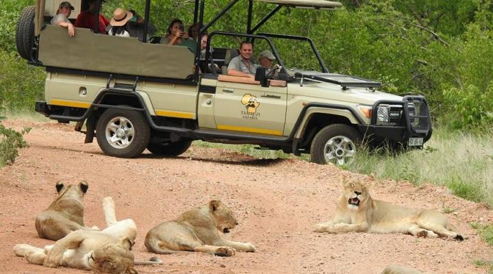 Tambuzi Safaris