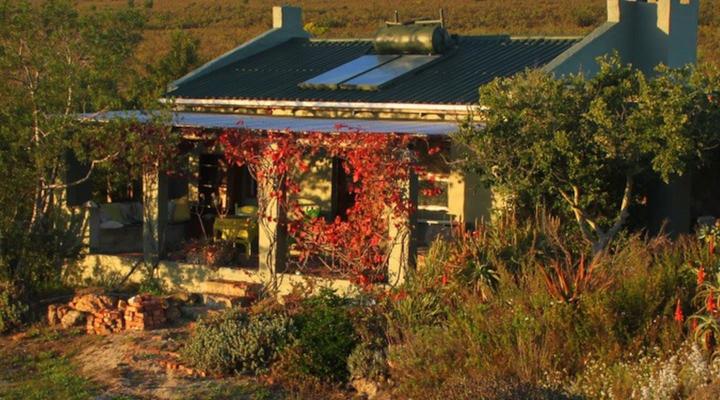 Vleiroos Cottage @ Sandberg Fynberg Reserve