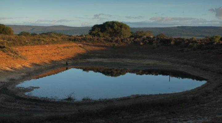 Vleiroos Cottage @ Sandberg Fynberg Reserve