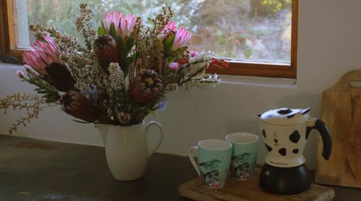 Vleiroos Cottage @ Sandberg Fynberg Reserve