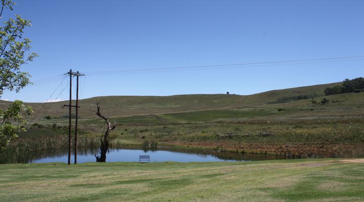 The Red Barn - The Homestead