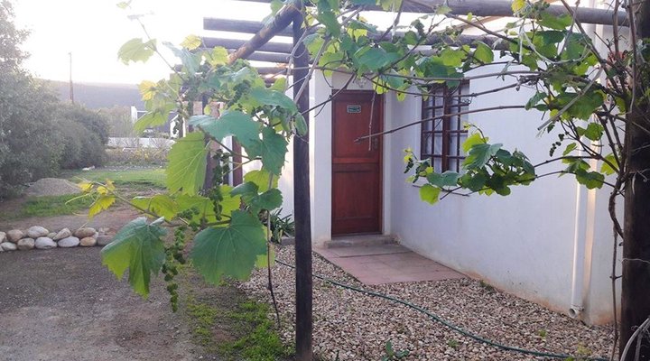 Summer House Self-Catering Guest House