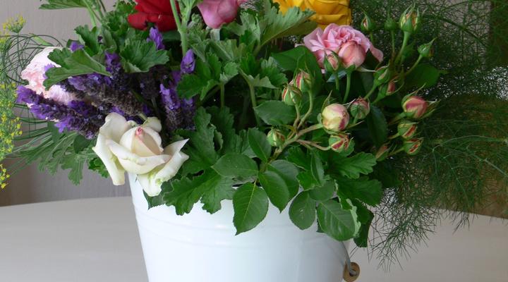 Lavender and Rose Cottage