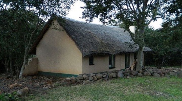 Wind in the Willows