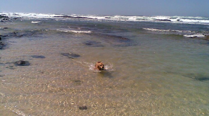 Bizwani Beach Cottage